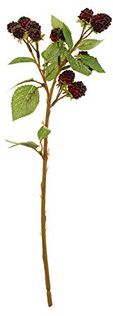 FloristryWarehouse Artificial Autumn Raspberry Spray 39cm Black