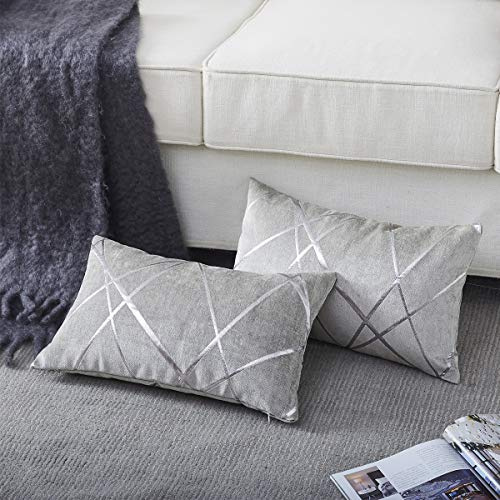 GIGIZAZA Gris Plata De Lujo Terciopelo Almohadon Cubre Caso, Confortable Funda de Almohada, Raya Decoración Fundas de Almohada para Sofá Cama Casa Decor 30x50cm Juego de Dos