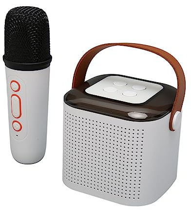 Ensemble de Microphones Haut-Parleur sans Fil, Machine de karaoké Portable à Lumière Stéréo RVB Puissante pour la Fête pour Téléphone