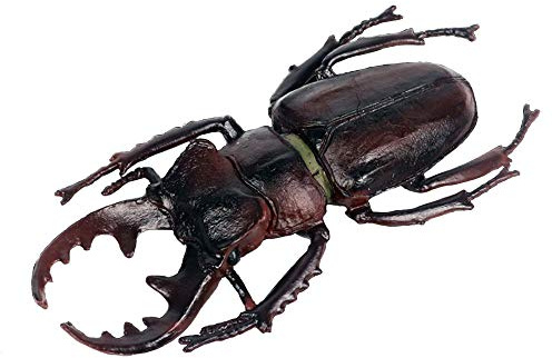JOKFEICE Figuras de animales realistas Stag Escarabajo Figuras, Proyecto de Ciencia, Decoración de Pastel, Juguete Educativo Temprano Regalo de Navidad para Niños Pequeños Edad 3 4 5
