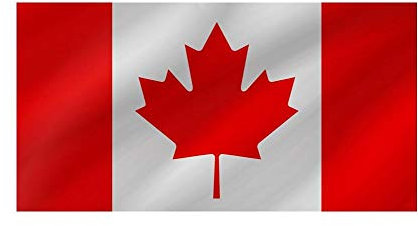 R&F srls Bandiera Canada Canadese Nazionale Tessuto Misura Standard 90 X 150 cm