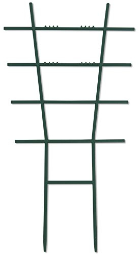 Windhager 05712 - Tutore per Piante, 57 x 31 cm