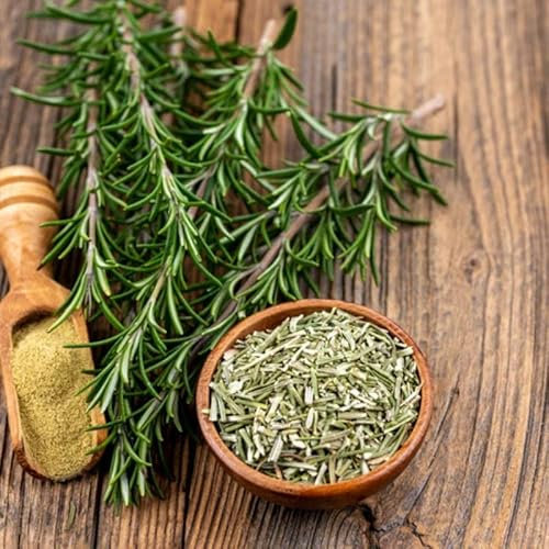 Set de Semillas para Cultivar Romero de Forma Sencilla en el Hogar