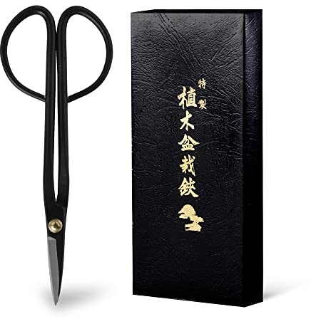 Wazakura Ciseaux Japonais Coupe Brindille Sécateur pour Bonsaï et Jardinage 180mm - Fabriqués au Japon à la Main en Acier Carbon Noire