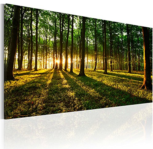 B&D XXL - Akustikbild Wald 120x60 cm Bilder Akustikschaum Hochleistungsschallabsorber Schallschutz Leinwand 1 tlg Wandbild Raumakustik Schalldämmung - Natur Baum grün c-B-0057-b-a