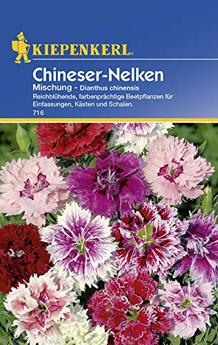 Kiepenkerl Chineser-Nelkensamen Mischung 716 - Reichblühende, farbenprächtige Beetpflanzen - Inhalt für ca. 60 Pflanzen - Blumensamen, Blumenwiese