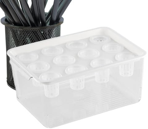 Planteur et aquarium aquaponique pour poissons - Planteur et aquarium pour Betta Fish - Station de propagation pour grasses et d'intérieur