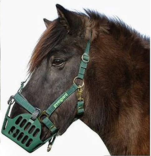 GREENGUARD® Set - Fressstopp Maulkorb mit Halfter, VB