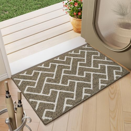 Biscpro Felpudo Entrada,50x80cm Alfombra Absorbente Entrada Impermeable y Lavable para Atrapar,Alfombrilla Antideslizante,Pasillo,Cocina,Dormitorio Felpudo de Entrada-Beige