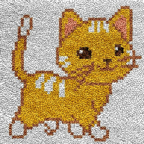 DL-YTG Latch Hook Kits Rug Cat Crochet Yarn Cushion Colour Pre-Printed Canvas Cover Rug Needlework DIY Hook and Latch Kit Christmas Home Decoration 30x30cm/12 X12in