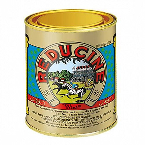 Reducine Original Absorbent, 16 oz by Equicare