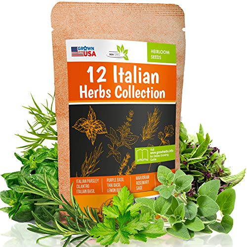 12 Italian Herb Seeds Pack - Heirloom and Non GMO, Grown in USA - Indoor or Outdoor Garden - Four Basil Varieties and Parsley, Cilantro, Rosemary, Thyme, Oregano, Marjoram, Sage, Arugula