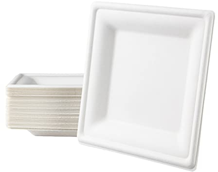 Love Nature Einwegteller 50 Stück - Einweg Teller Eckig 20 cm aus Zuckerrohr - Einweggeschirr Umweltfreundliche - Partyteller Einweg Stabil zum Geburtstag, Grillabende und Picknicks