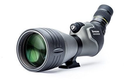 Vanguard Endeavor HD 82A - Spektiv (Natur/Beobachtung)