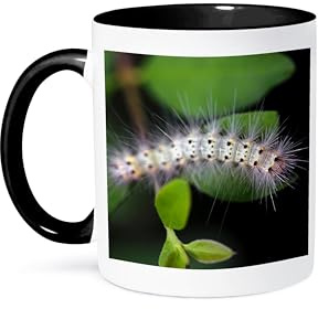 3dRose Macro photo of a fall webworm caterpillar munching on privet leaves. 11oz Two-Tone Black Mug