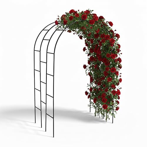 Relaxdays Arco para Rosas y trepadoras, Metal, XXL, 240x140x110 cm, Negro