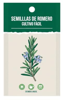 Semillas DECOALIVE de Romero Mediterráneo – Planta Aromática Ideal para Huerto Urbano y Cocina Casera