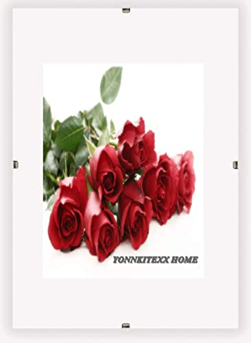 Bilderrahmen Cliprahmen Fotorahmen Bildhalter A1 A2 A3 A4 A5 A6 B2 Kunstglas Plexi (50 x 70 cm (DIN B2))