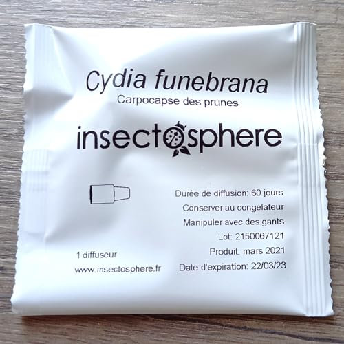 Capsule de phéromone contre le ver de la prune (Carpocapse des prunes).