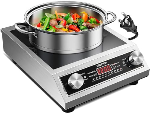DRINTON Induction Cooker, 2200W Commercial Induction Cooktop, Large Countertop Burner with 10 Cooking Functions & Dual IGBT for Safe Use, Portable Stainless Steel Hot Plate with 3 Hours Timer, 120V