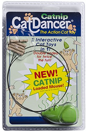 CAT DANCER 601