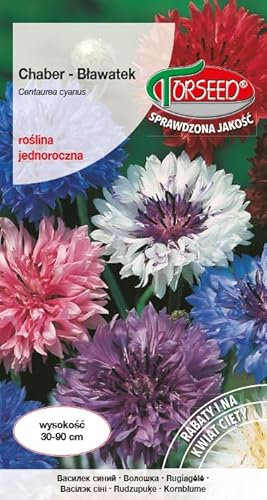 Verdica Semi di fiordaliso Centaurea cyanus – Fiori annuali multicolore ideali per giardini vivaci, fiori recisi e aiuole, altezza di crescita 30-90 cm