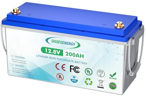 Batterie au lithium LiFePO4 12V 200Ah, batterie à décharge profonde avec BMS 200A, jusqu'à 15000 cycles, durée de vie de 10 ans, pour système solaire, camping-car, camping, bateau, moteur à la traîne