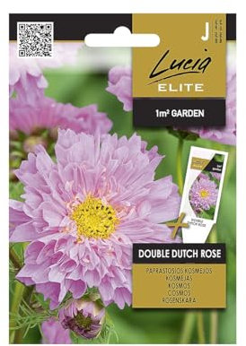 Lucia Elite | Semillas de margarita ornamental - DOUBLE DUTCH ROSE | Semillas de flores | Semillas de plantas | Semillas de jardín | Flores anuales de 120 cm de altura, fáciles de cuidar |1 paquete
