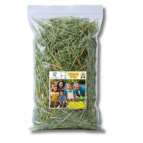 OLD TERRA NATURAL Premium Alfalfa i gren (6L) - 100 % naturlig för kaniner, pig och husdjur - dammfri, behaglig lukt - perfekt för hälsosam mat djur.