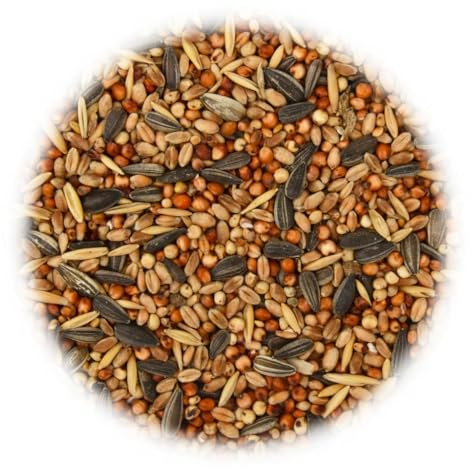 Teenpull fågelmat 25 kg ströfoder, kornblandning med solrosfrön och tisdumplings för vilda fåglar och sångfåglar året runt, utfodring i trädgården, naturskydd, vinterfoder