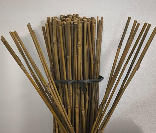 Suinga Pack 100 Tutores de Bambu 150 cm (12-14 mm) | Varillas de Bambu Resistentes para Plantas, Árboles y Hortalizas | Soporte para Plantas, Tomates | Tutores para Plantas trepadoras