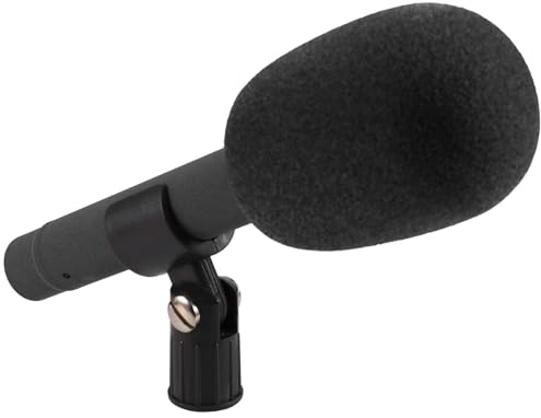 Flaroey Microphone cardioïde à condensateur pour présentateurs de nouvelles, conférences et chorales avec capsule interchangeable