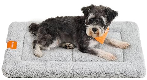 Feandrea Tapis Chien, Couverture pour Animaux, pour Chat, 75 x 50 cm, Taille M, Lavable en Machine, Adapté au Sèche-Linge, Antidérapant, Gris Clair PPB019G01