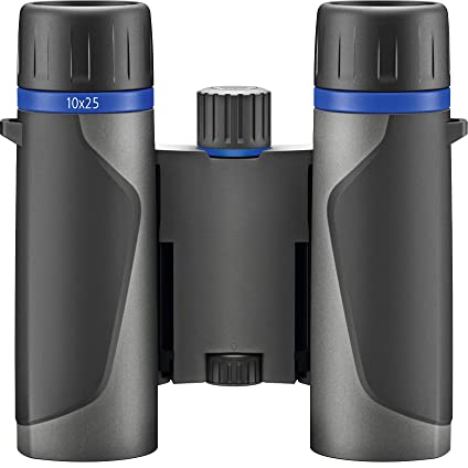 Zeiss Terra ED - Prismáticos de Bolsillo, Bolsillo de 10 x 25, Color Gris