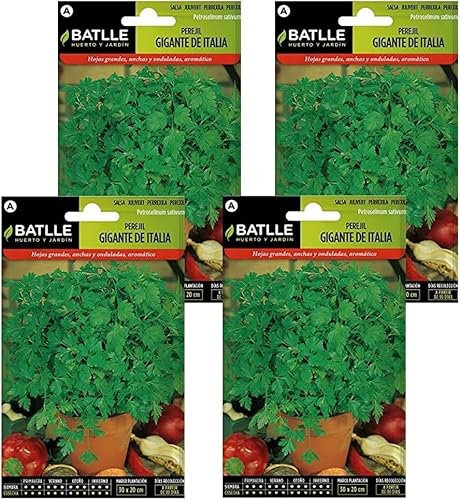 Semillas de perejil gigante de italia Semillas Batlle PACK (4)
