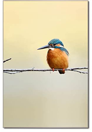 banjado Glas Magnettafel (50 x 75cm) - Magnetwand Glas - Magnetpinnwand als Memoboard - Pinnwand Magnettafel Küche, Büro, Kinderzimmer - Pause