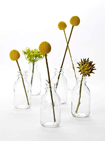 Serene Spaces Living Glass Milk Bottle Bud Vases – Vintage Milk-Bottle Style Vases - for Home Décor, Event Centerpieces and More, 4.25” H x 2” D, Set of 6