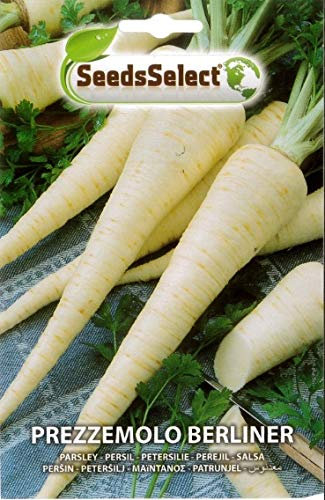 SEMI SEMENTI DI PREZZEMOLO BERLINER BUSTINA MAXI