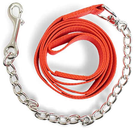 Catena di guida per cavalli | guida sicura con catena di ferro e manico in nylon | Guinzaglio adatto per stalloni cani pony asini | Lunghezza 2,10 m (rosso)