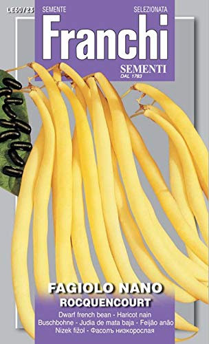 SCATOLA SEMI DI FAGIOLO NANO ROCQUENCOURT ORTO GIARDINO SEMI
