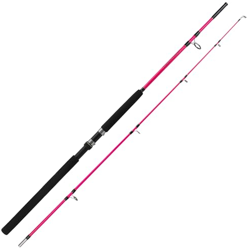 Solid Pilk Spezial Pilkrute - Leichte Pilk- & Spinnrute für Dorsch- und Köhlerangeln (2,10m - 40-80g)