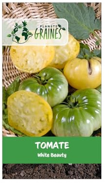 15 graines de tomate white beauty beauté blanche, variété ancienne rare, fruit blanc crème doux et charnu