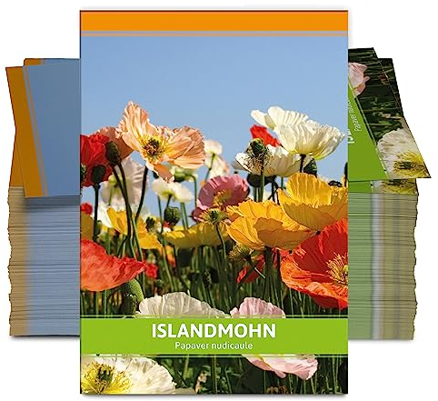 FLORTUS Islandmohn als Gastgeschenke (100 Stück) | Blumensamen als Dankeschön Geschenke, Mitgebsel & Werbegeschenke | Wildblumensamen
