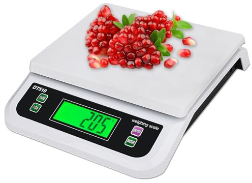 Bilancia Cucina Digitale Professionale 66LB 30kg Grandi Bilancia Multifunzione Per Alimenti Con Funzione Tara Conteggio Bilancias Contapezzi 6 Unità Per Peser Viande Et Charcuterie Pizzeria