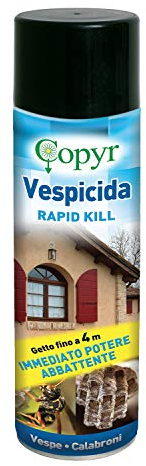 Copyr Rapid Kill - Insetticida Vespe, Spray Zanzare Mosche e Altri Insetti Volanti ad Azione Rapida - Vespicida Aerosol per Ambienti Interni ed Esterni Pronto all'Uso, 1 x 750 ml