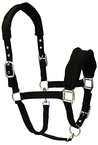 JF Equestrian - Brida de Nailon con Forro, Color Negro, Pony, AHA/05-04/02