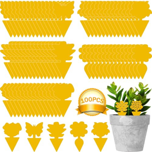100 stycken bekämpar myggor, gula klistermärken myggor, myggor, klibbiga fångare för skadedjursbekämpning i inomhusväxter