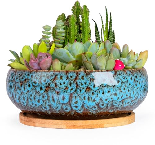 ARTKETTY Succulent Pots - 20 CM Large Succulent Planters Ceramic Bonsai Pot with Drainage Tray for Indoor Plants Garden Decorative Cactus Flower Plant Container Bowl