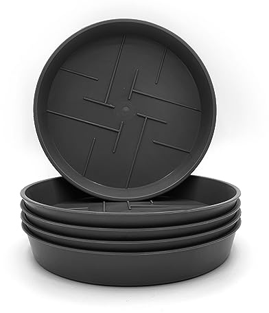 Plastard 5er-Set Blumentopf-Untersetzer Rund aus Plastik 12 cm Durchmesser, Untertopf für Innen- und Außenbereiche, aus witterungsbeständigen Material, Farbe Anthrazit