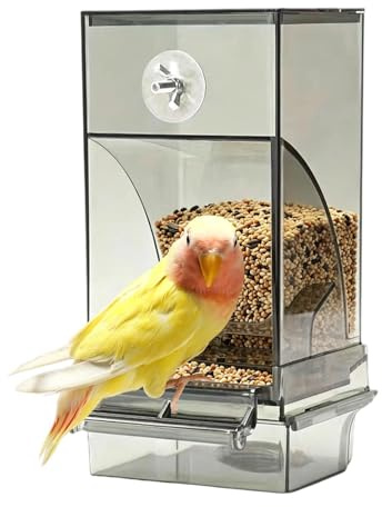 Gabbia per uccelli, contenitore automatico trasparente con gancio, contenitore per mangime per uccelli, voliera, pappagalli monaci, casa, giardino, cortile, , balcone, fattoria